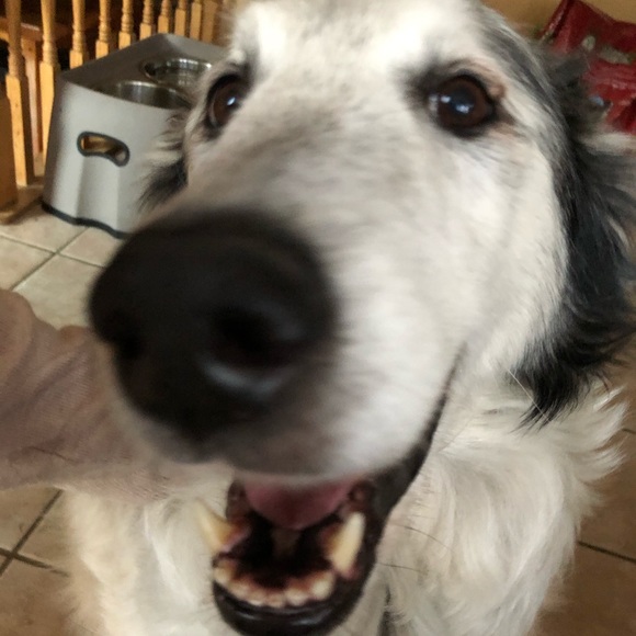 Meet your Posher, Katherine - Picture 1 of 1